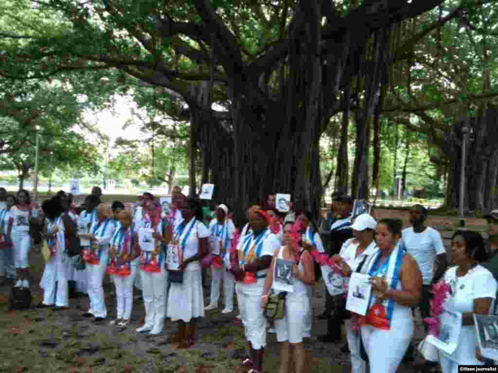 Damas de Blanco domingos en Parque Gandhi